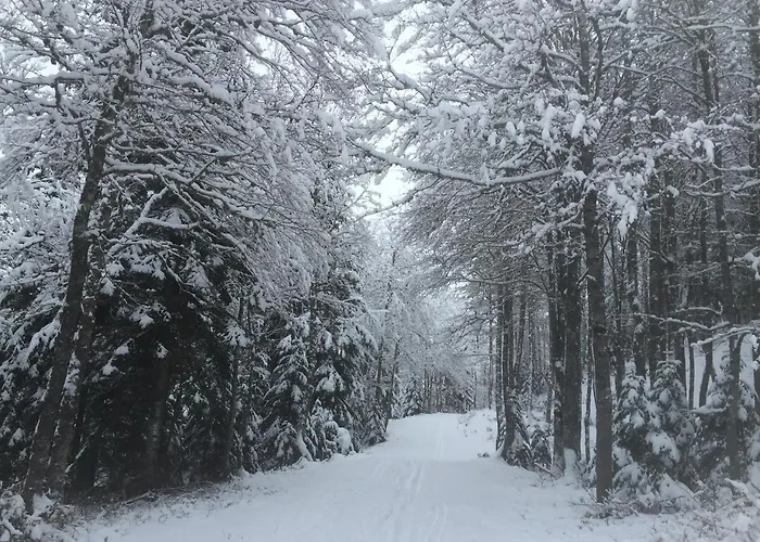 Casa rural Casa Perez *